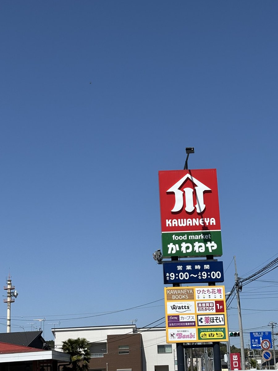 ヒミツのイバラキ tweet media