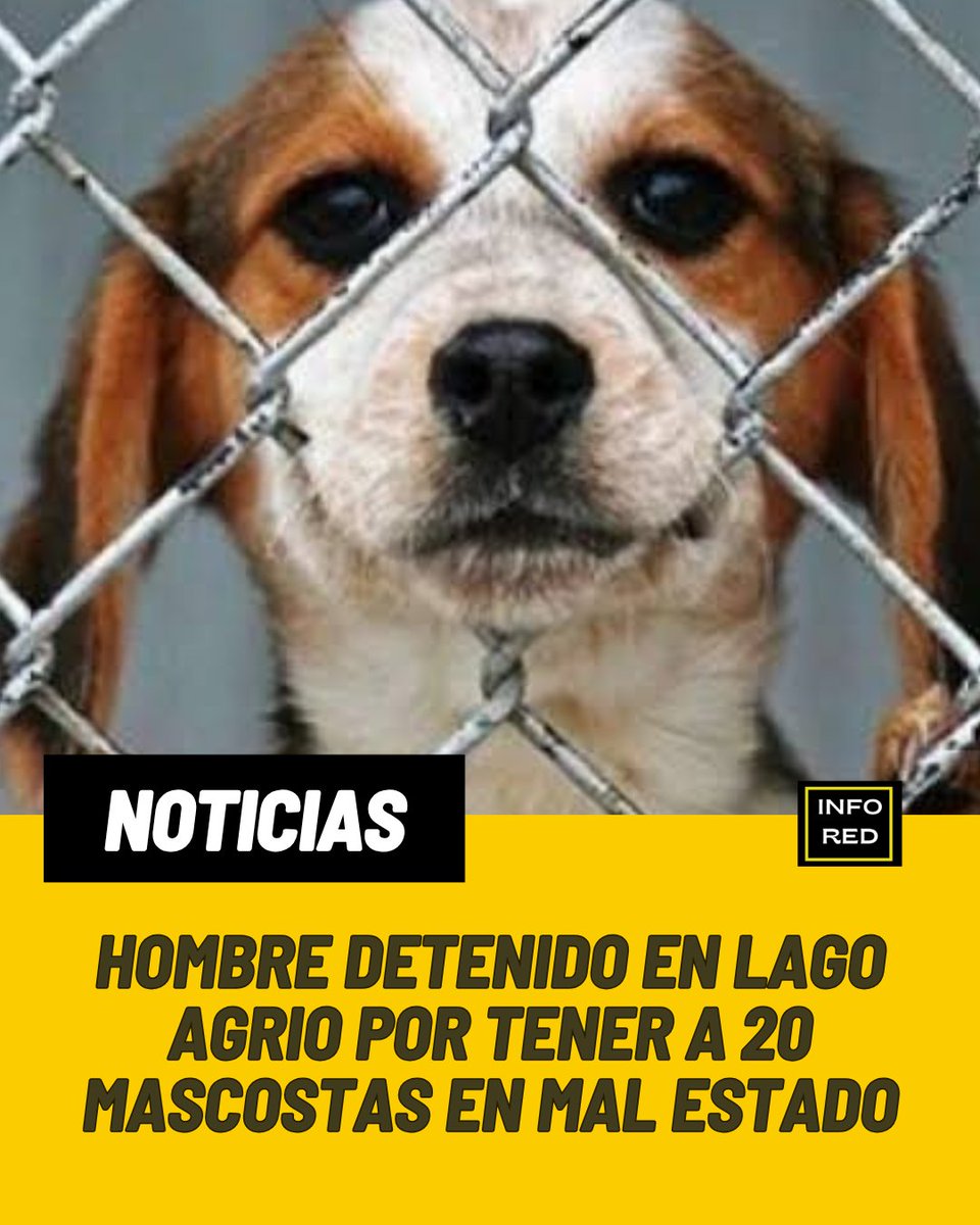 Infored_ecuador tweet media