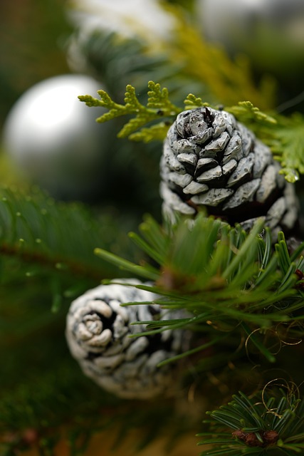 Brandon Baldwin tweet media