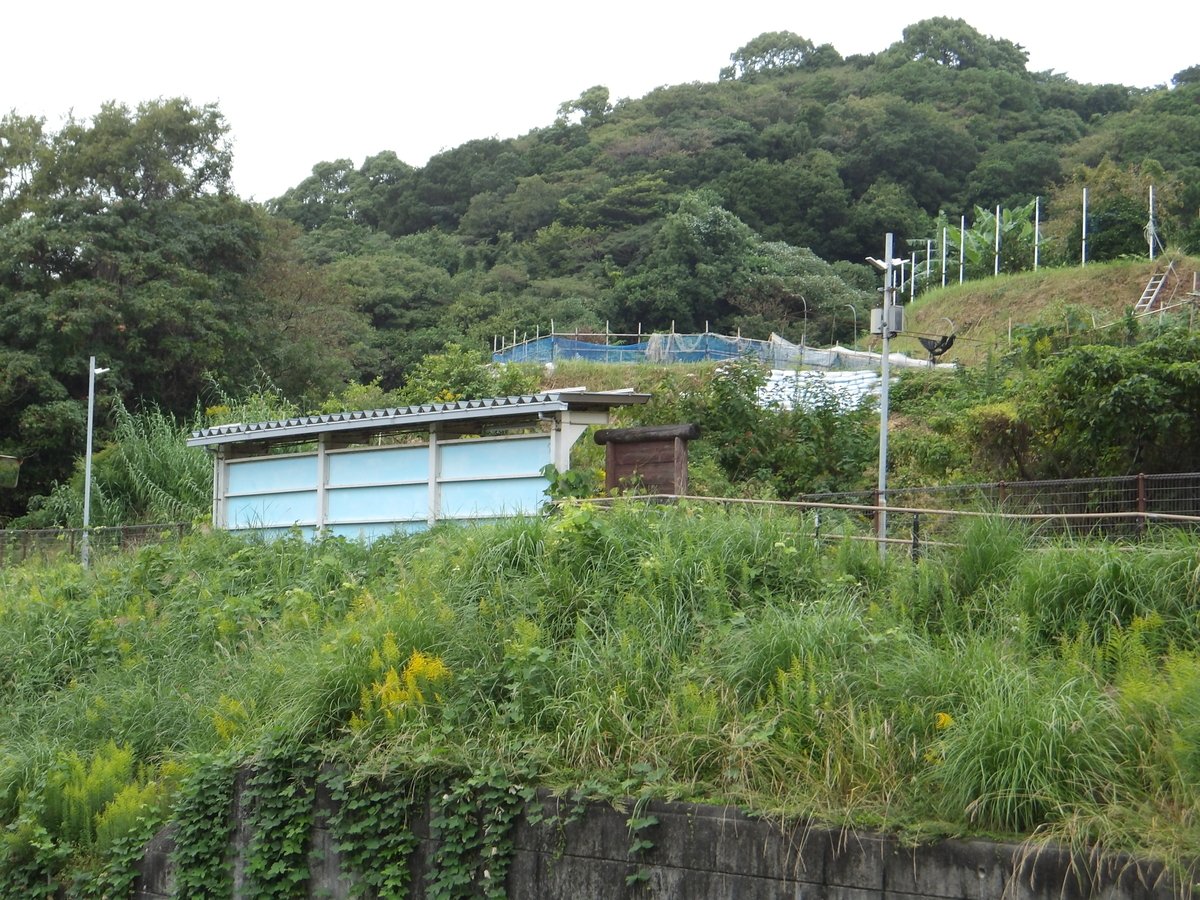 skyliners1's tweet image. 〈次回予告〉
次回のブログは。。。
高知県幡多郡黒潮町にある駅を投稿予定。
2003年に開業した土佐くろしお鉄道中村線の１面１線の駅。
 #駅  #ダムツアーで行くのはダムだけではない #高知県 #ダムラー旅行記