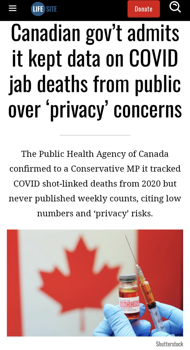 Pepe Deluxe 🐸 tweet media