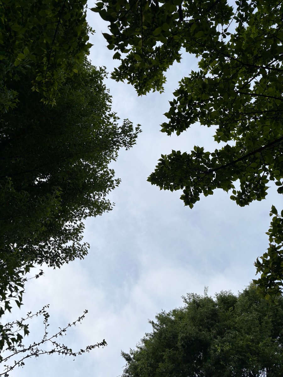 あおい tweet media