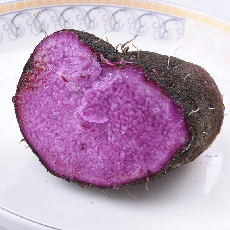 Mariska van Dijk tweet media