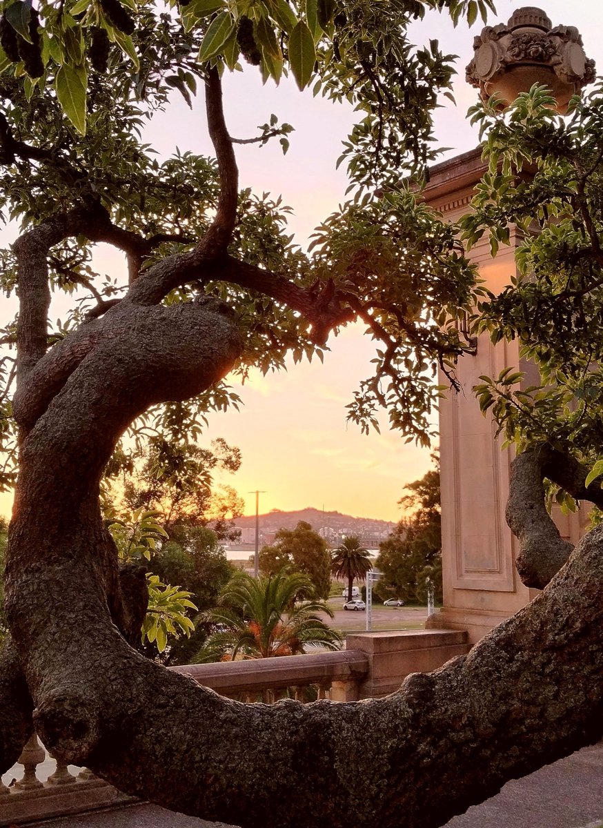 Julio Porra tweet media