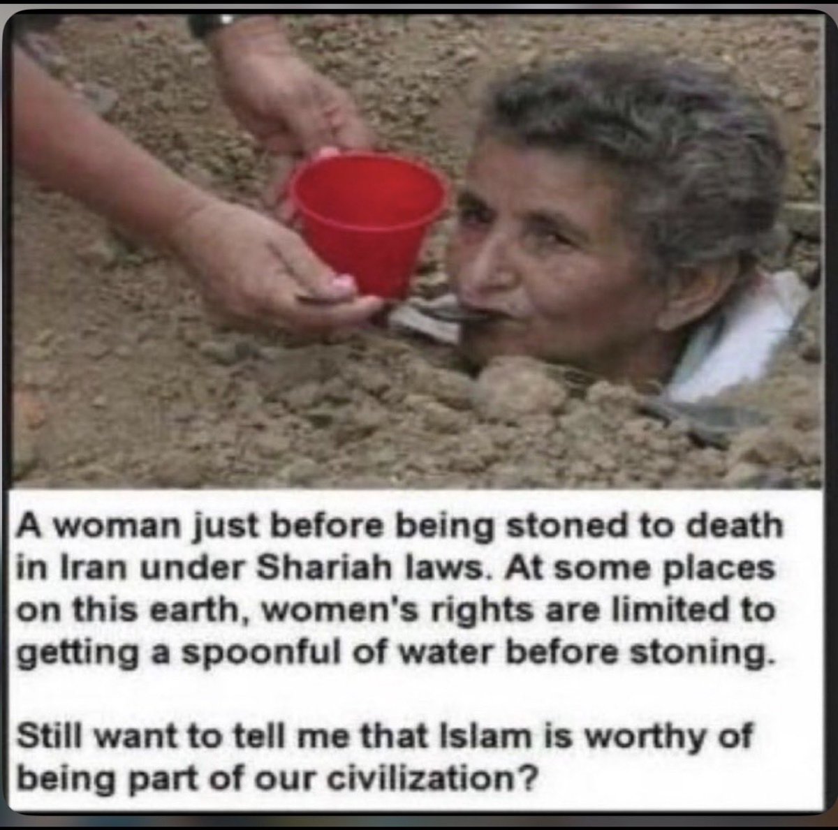 🇺🇸 Red Blooded Mom 🇺🇸 tweet media