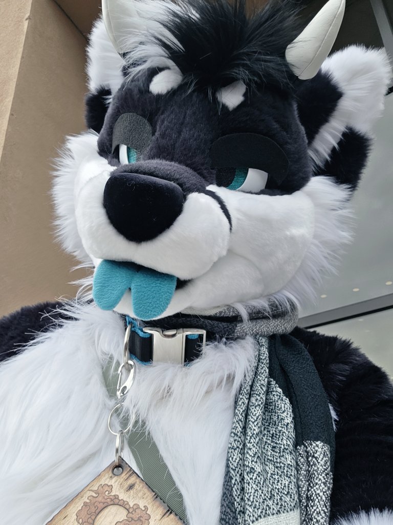 NovaDrox's tweet photo. Almost FWA time 😝 https://t.co/FHdtsnrYbx