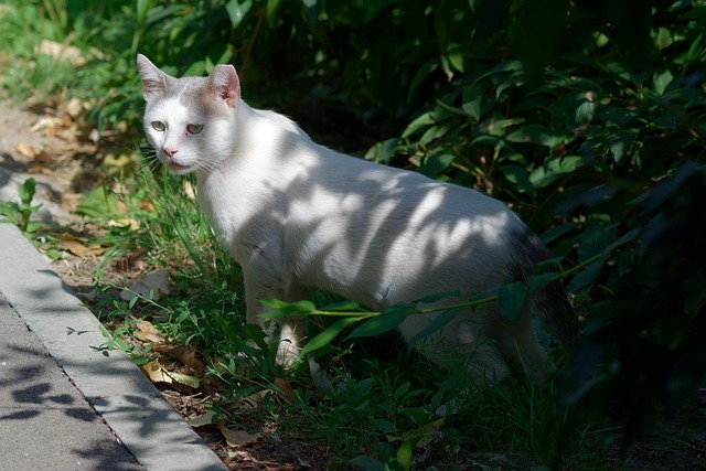 Jeremy Dutton tweet media