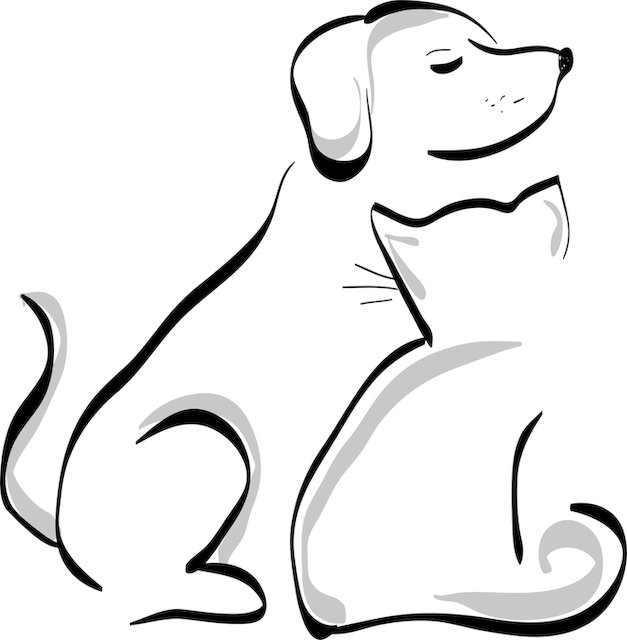 Devin Garcia tweet media