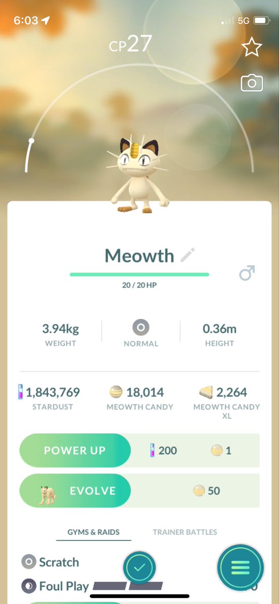 John Patrick tweet media