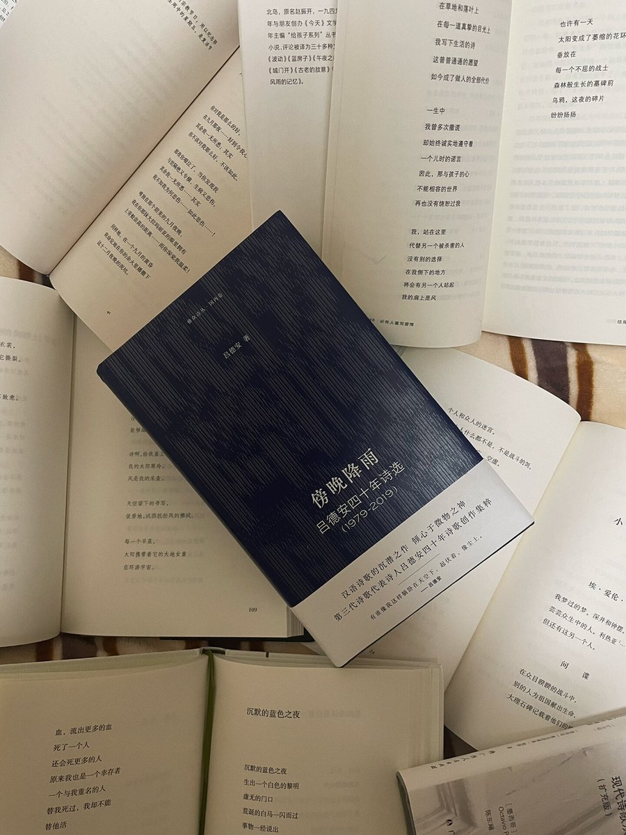 Ella reef  tweet media