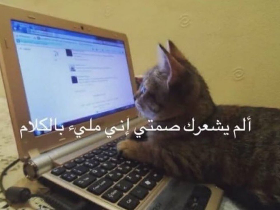 عغعغع tweet media
