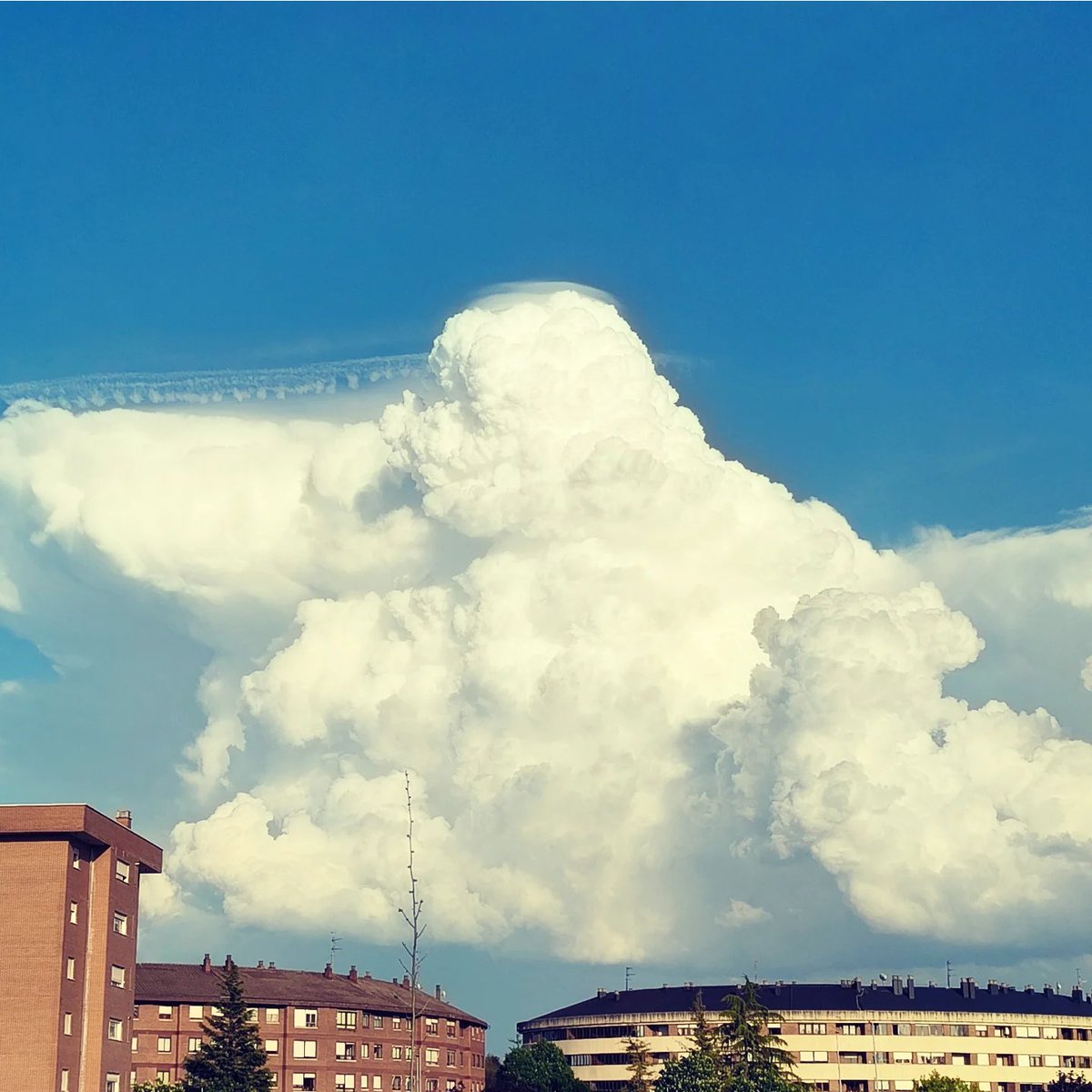 angelfromvg's tweet photo. #nubes de evolución vespertinas al este.
El fenómeno, la fantasía y la abstracción. https://t.co/dNa0dBdFax