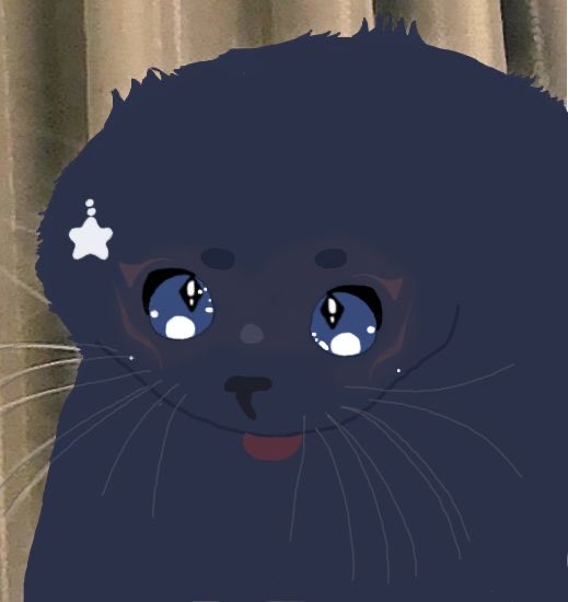 Prince Mikan ☆ tweet media