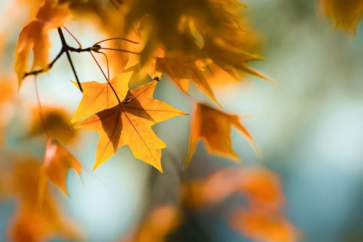 Salman Farooq tweet media