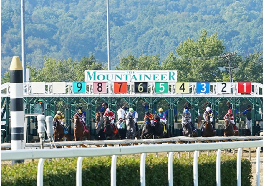 Horse Racing tweet media