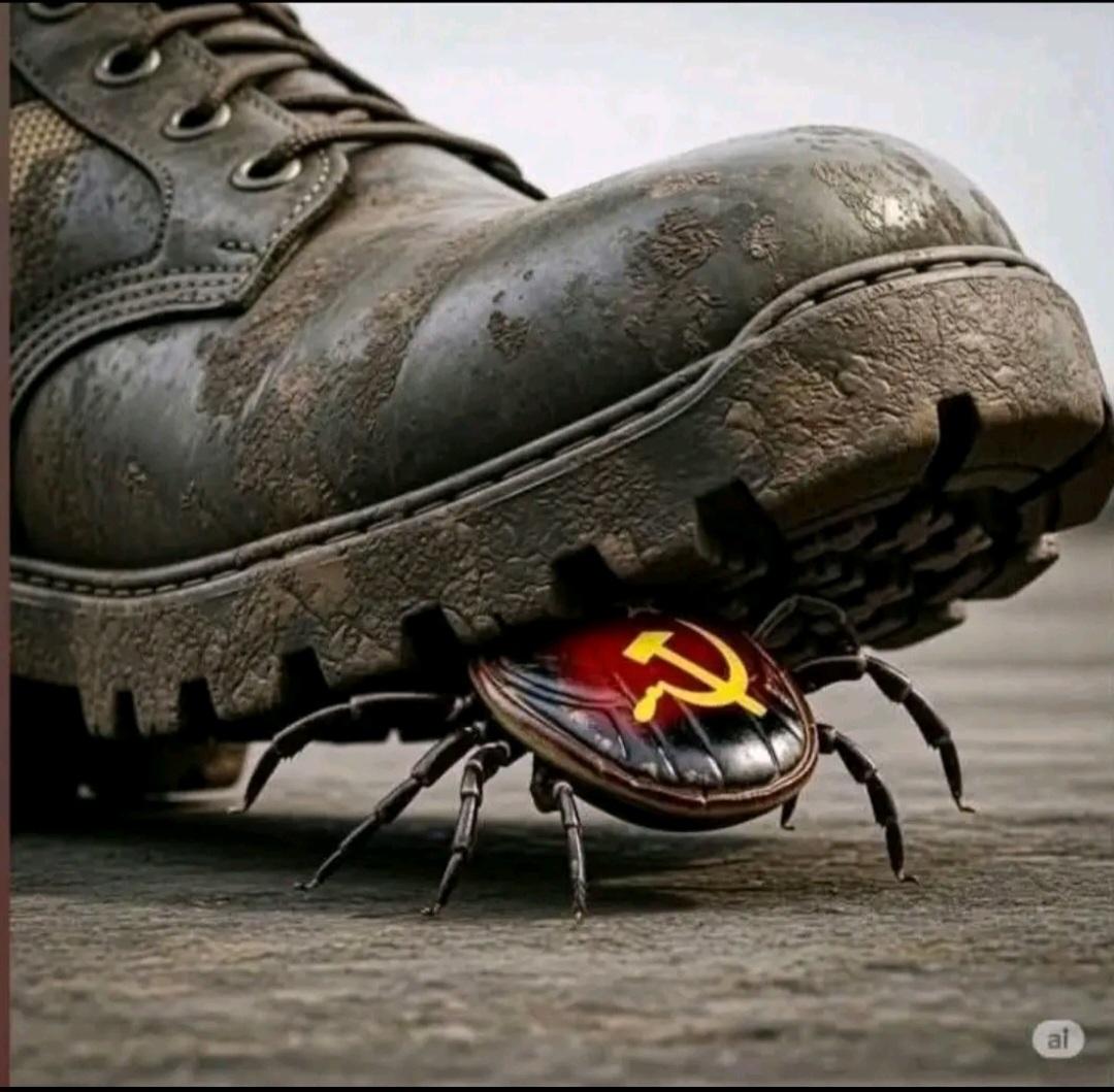ANTICOMUNISTA tweet media