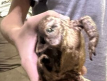 Doutor Antonio Banderas 🍥 tweet media