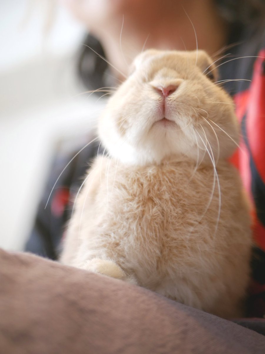 みんなにげんきをおくるます！