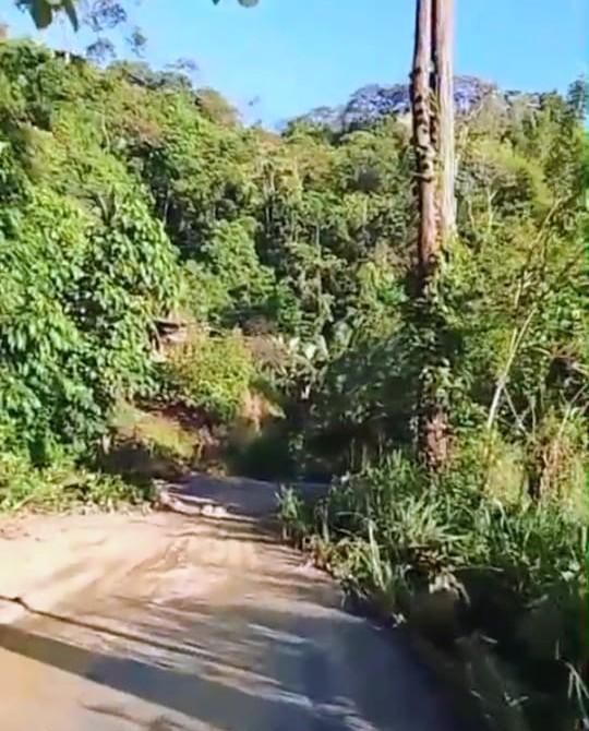 Carlos Pernía tweet media