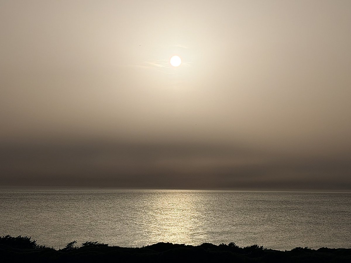 Carpe Diem...🍀 tweet media