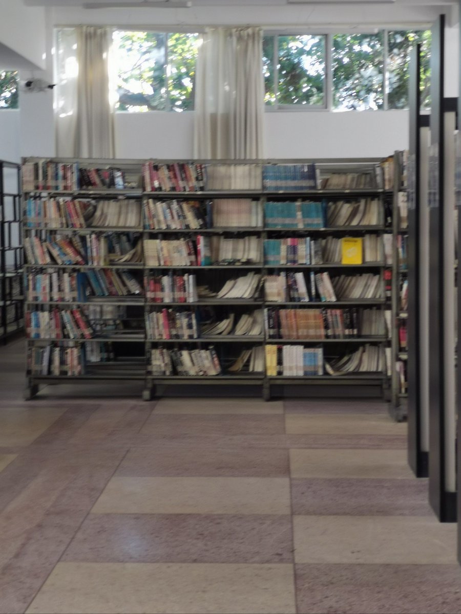 miriam lizette bravo tweet media