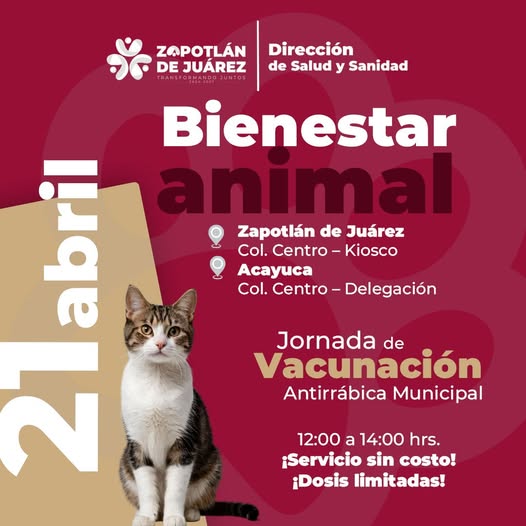 ¡Vacúnalos! Su salud también es una prioridad. 📷
Te invitamos a la Jornada de Vacunación Antirrábica.
📷 12:00 a 14:00 hrs
📷 Servicio gratuito
📷 Dosis limitadas
#TransformandoJuntos #ZapotlánDeJuárez
#BienestarAnimal