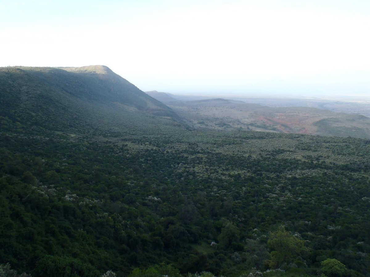Alkaased2005's tweet image. Mountains in Kenya 🇰🇪

ケニアの山🇰🇪

February 2013

↓This is the URL of  my channel↓

kick.com/alkaased2005

#kick #travel #trip #旅行 #domestictravel #国内旅行 #internationaltravel #海外旅行 #kenya #ケニア