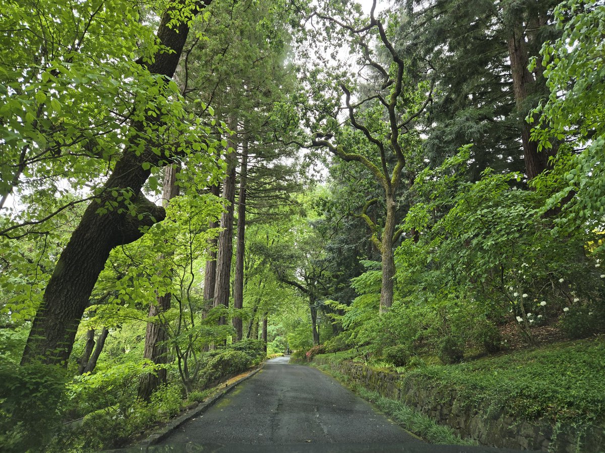 hyunbae94577's tweet image. Far Niente Winery

#wine #rain