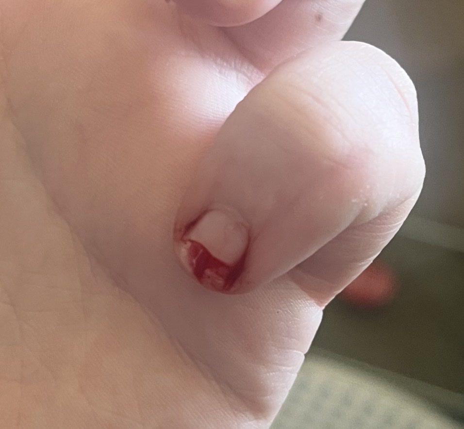 Sophalorian • READY FOR SHADOW LORD tweet media