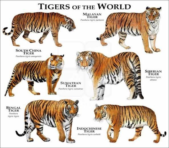 promises_promises tweet media