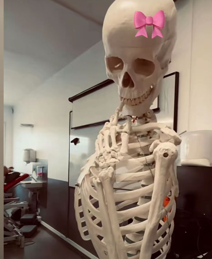 Cande ❀ tweet media