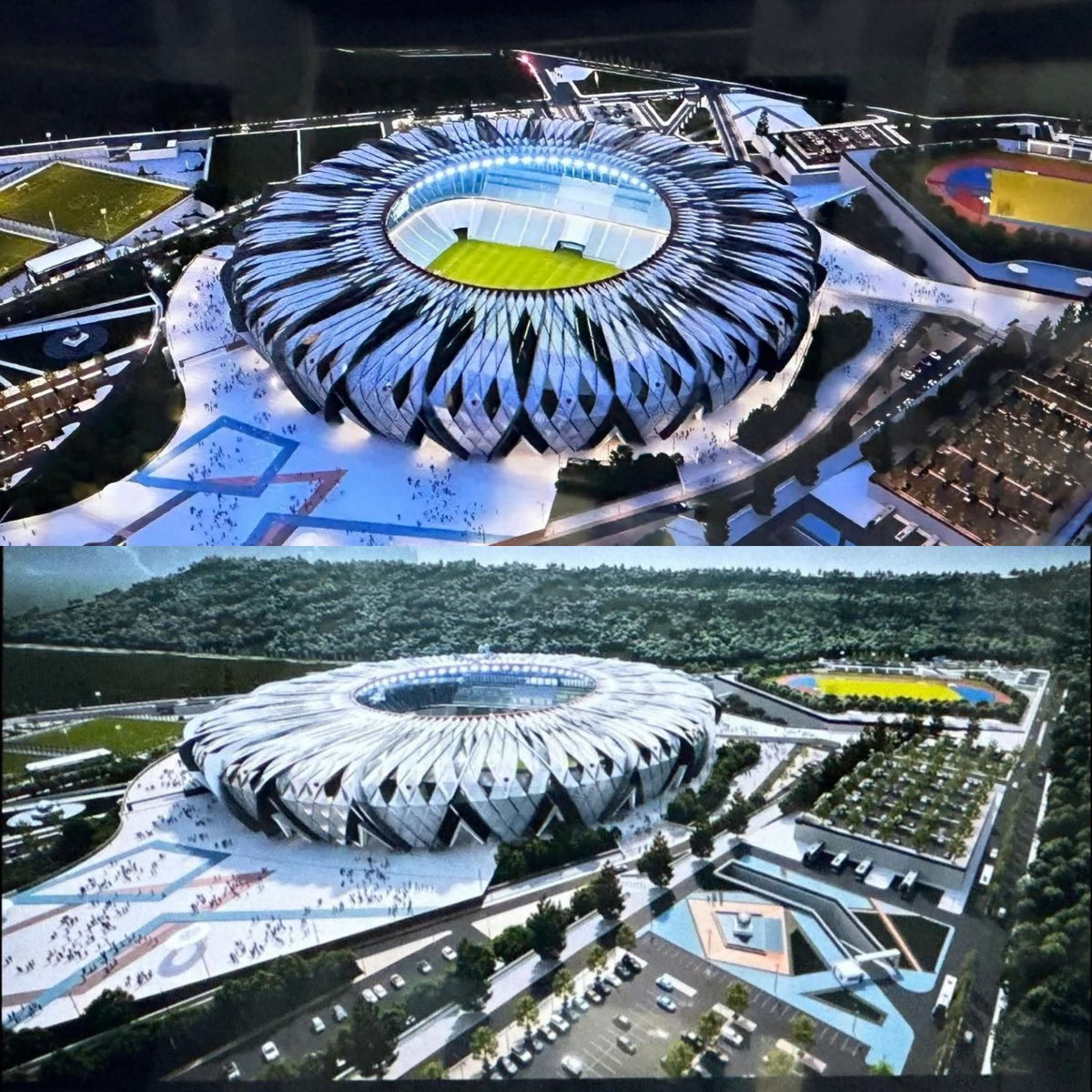 🔻Ackerman 🇭🇰 tweet media