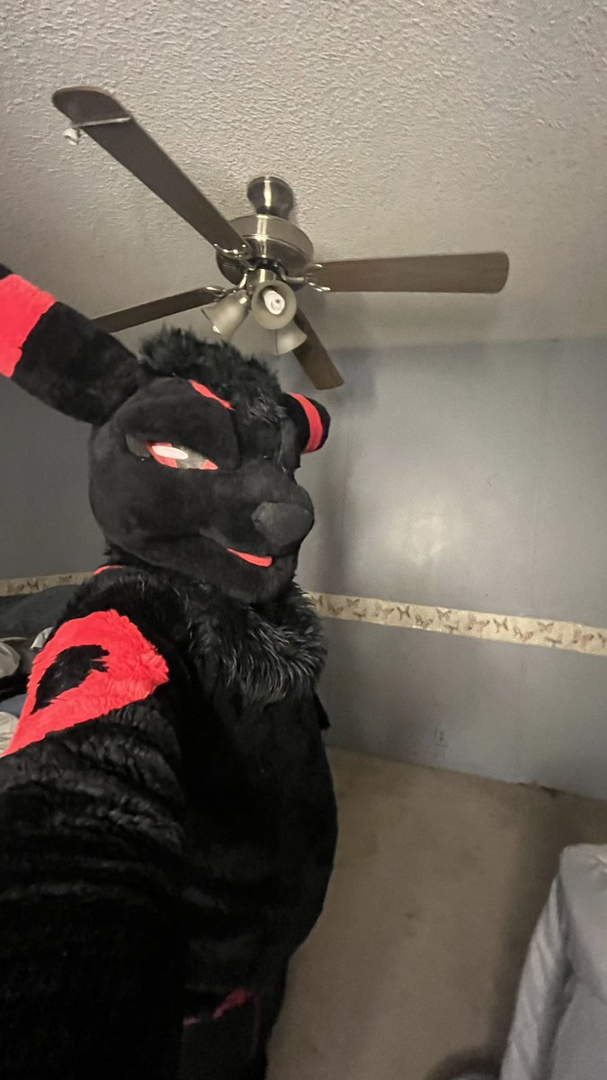 AynBlackFox's tweet photo. Hehehe!! https://t.co/7LRtvHxCBN