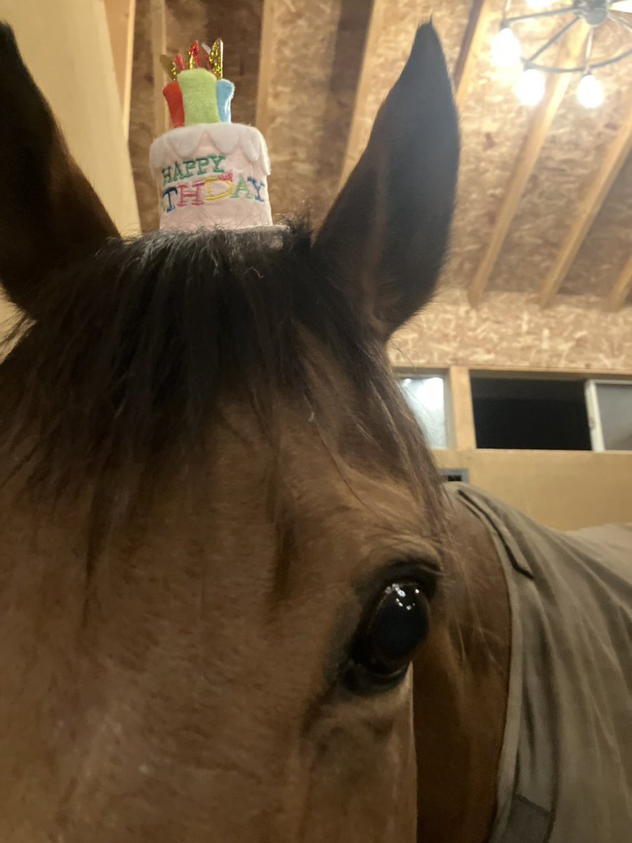 Yogiboヴェルサイユリゾートファーム tweet media