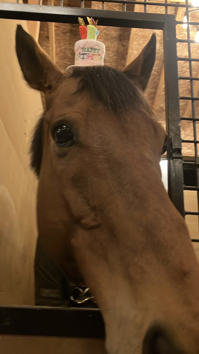 Yogiboヴェルサイユリゾートファーム tweet media