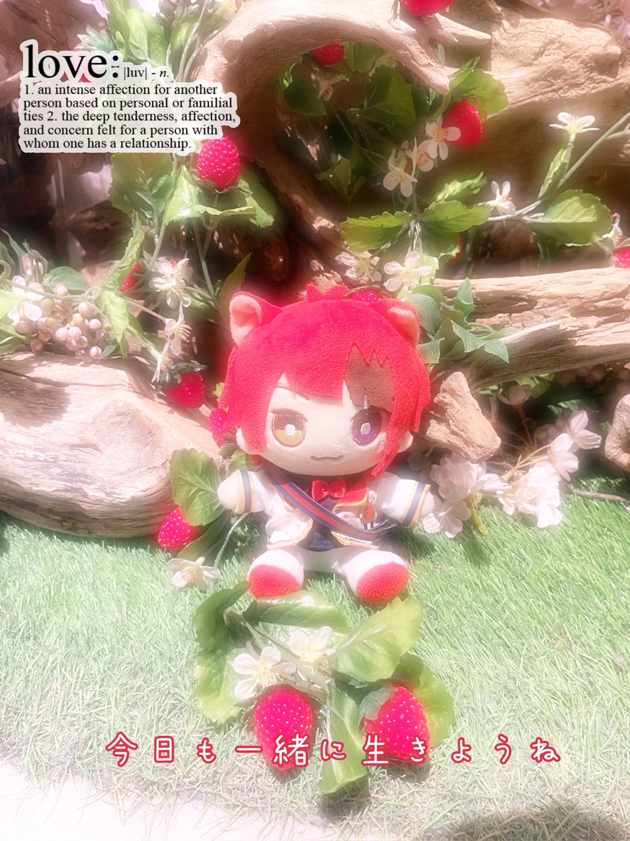 みっちゅ❤️micchu🐾 tweet media