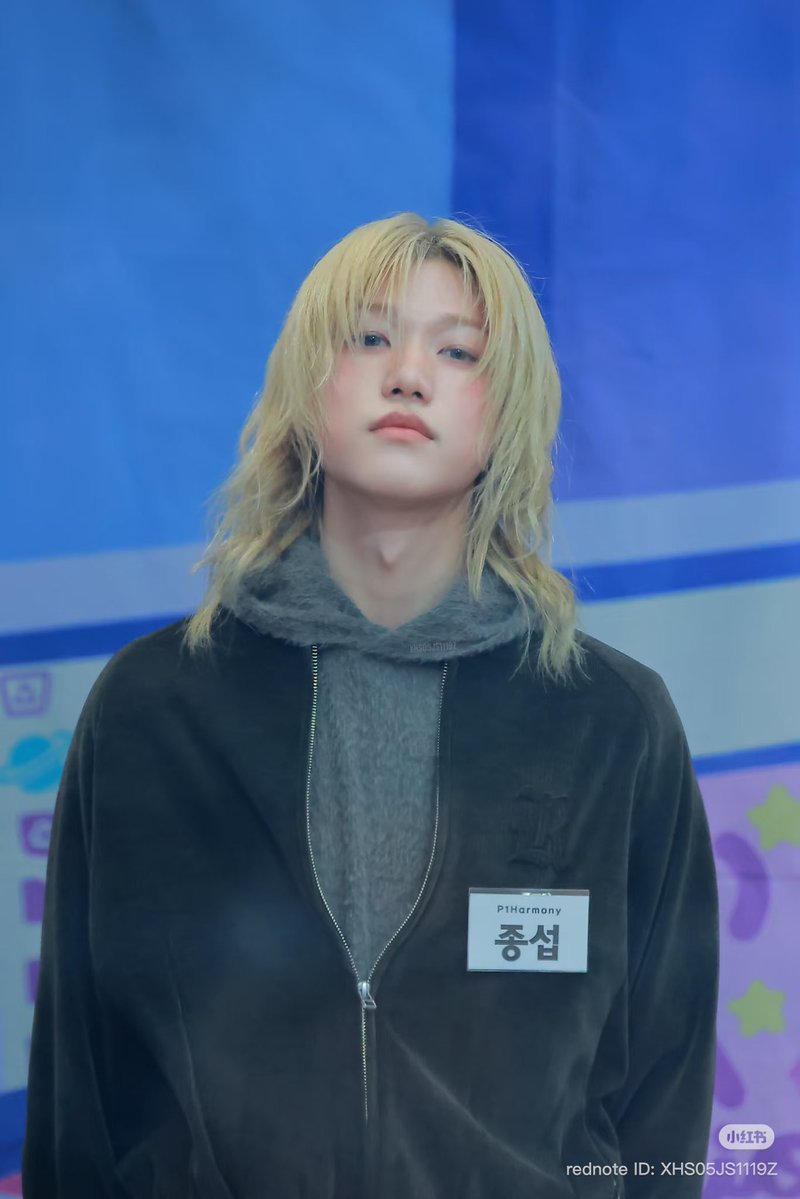 whiskers tweet media