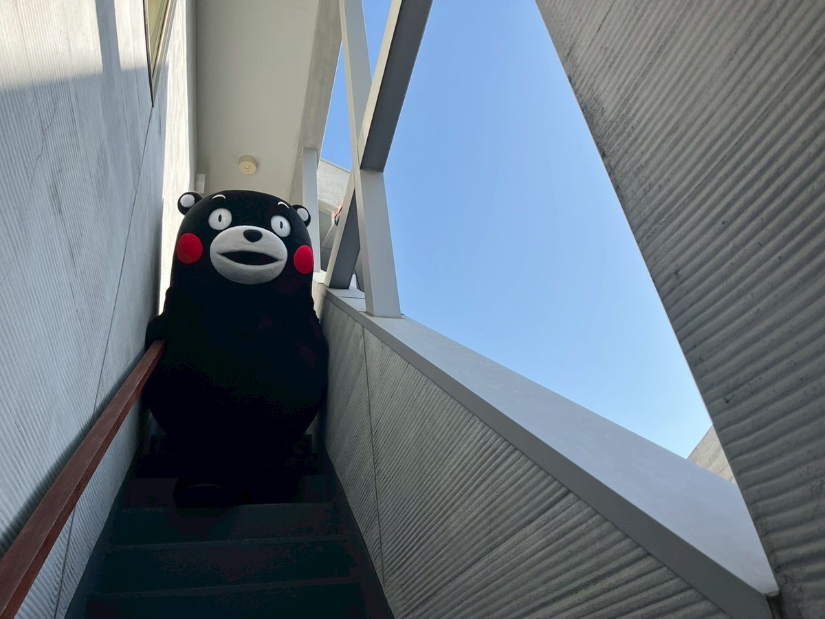 くまモン【公式】 tweet media