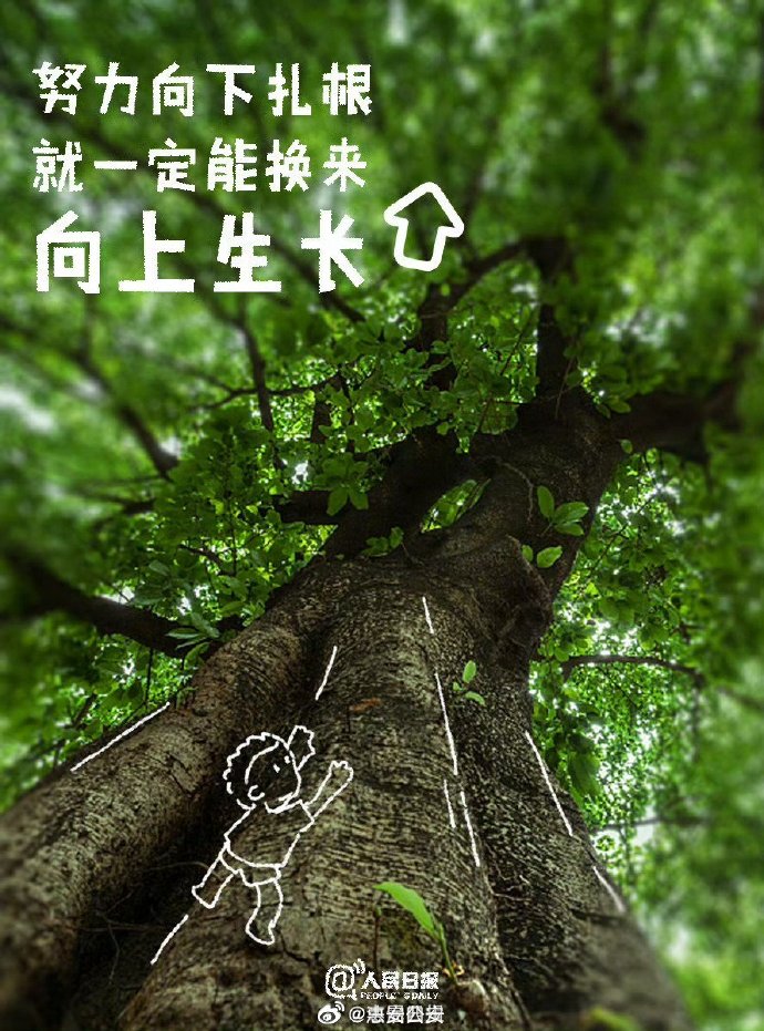 Vueta Cama tweet media