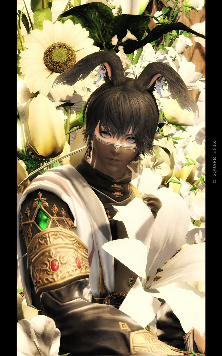 兎碧-とあ- tweet media