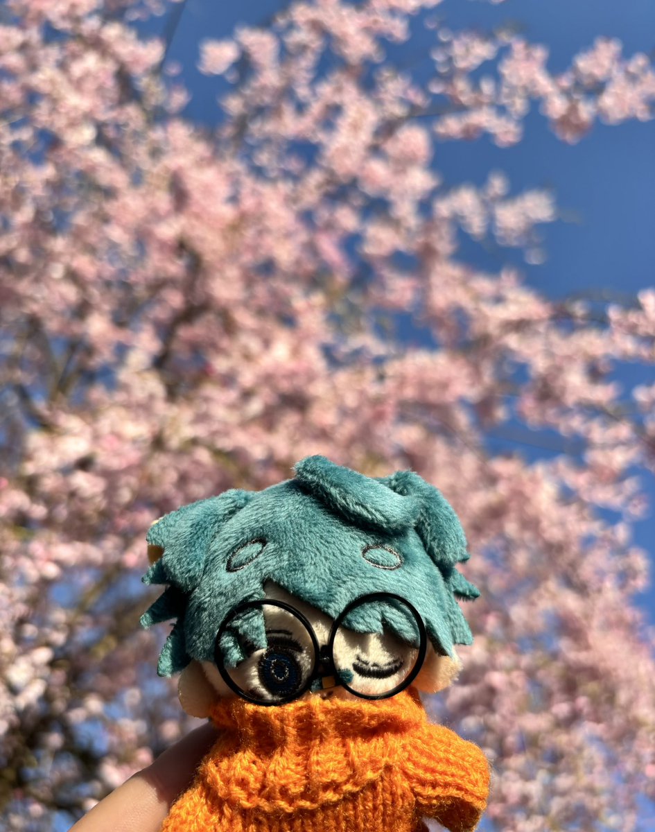 まごぜん tweet media