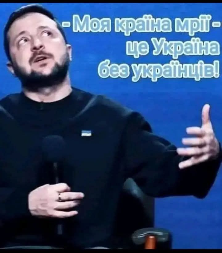 Люся Тютюник tweet media