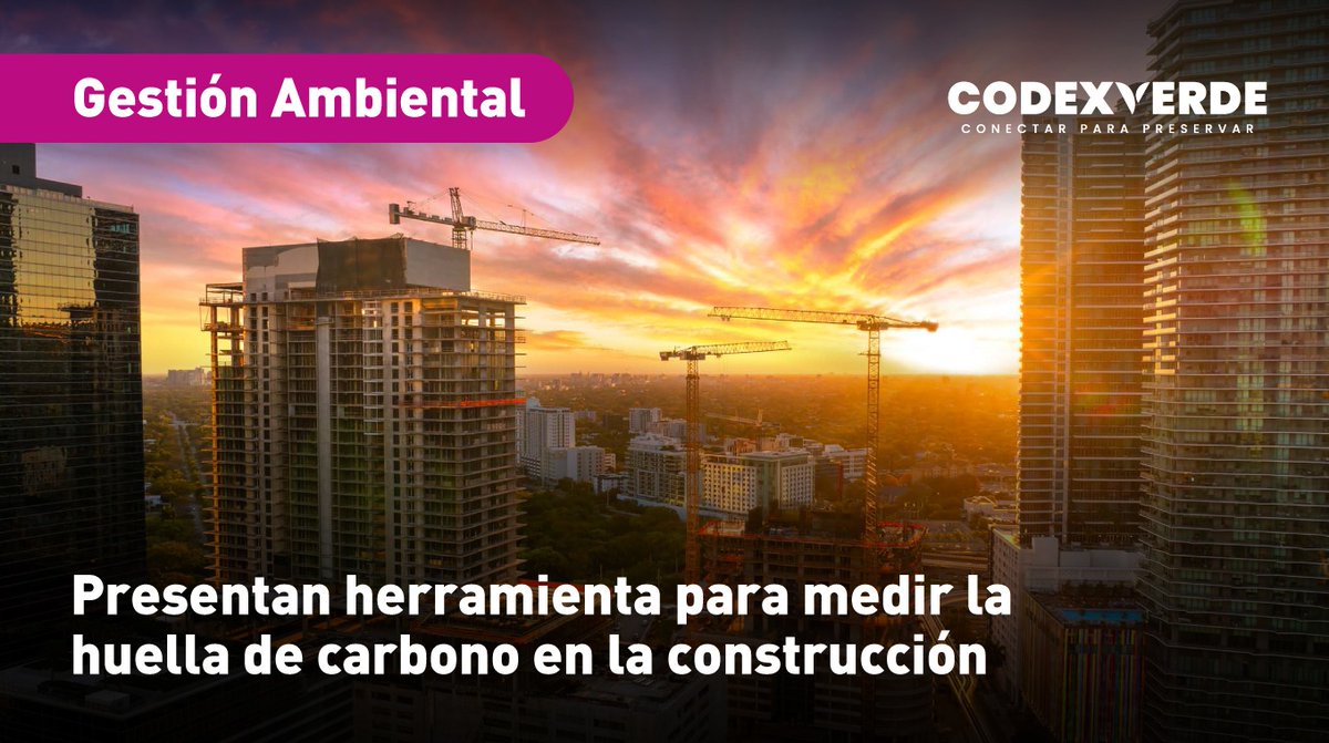 Codexverde tweet media