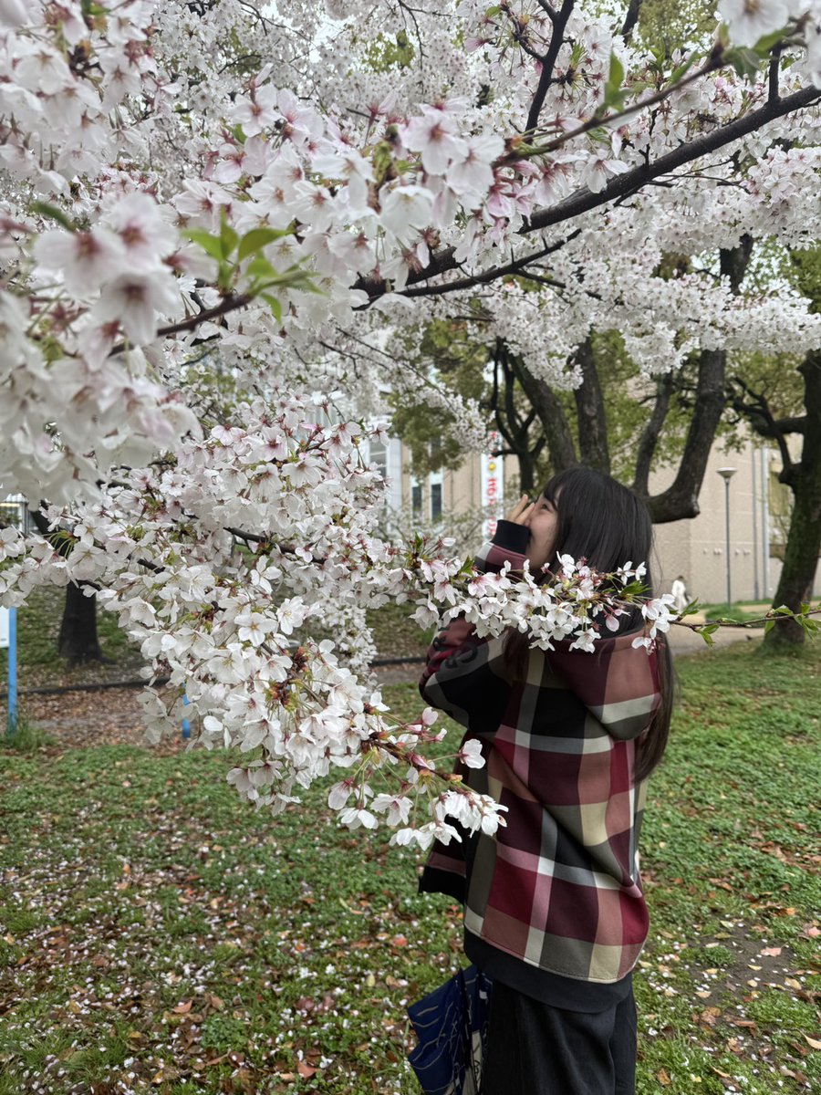 森島みなみ@KOBerrieS♪ tweet media