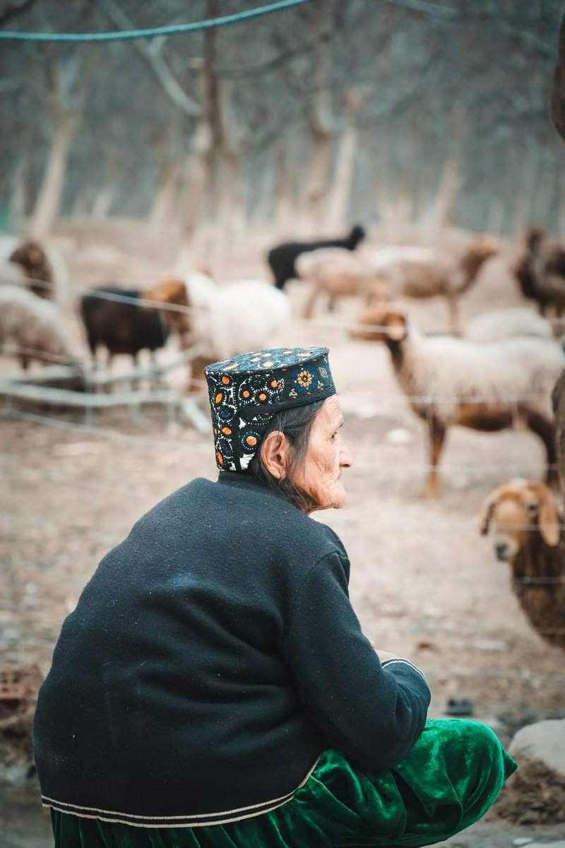 fatir0505's tweet image. Every stitch, every felt, every woven piece—
a glimpse into the warm, everyday life of #SouthernXinjiang 🧵📷
#Handcraft #ThroughMyLens #VisualStorytelling