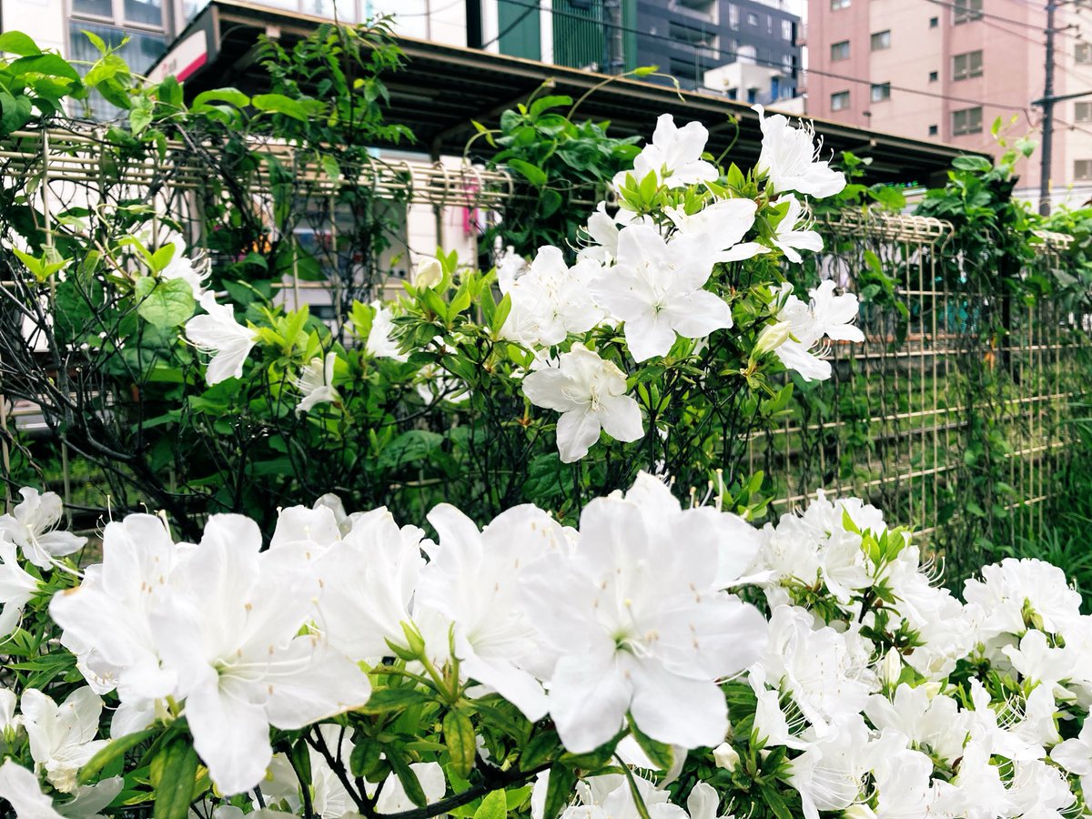 株式会社UpField【公式】 tweet media