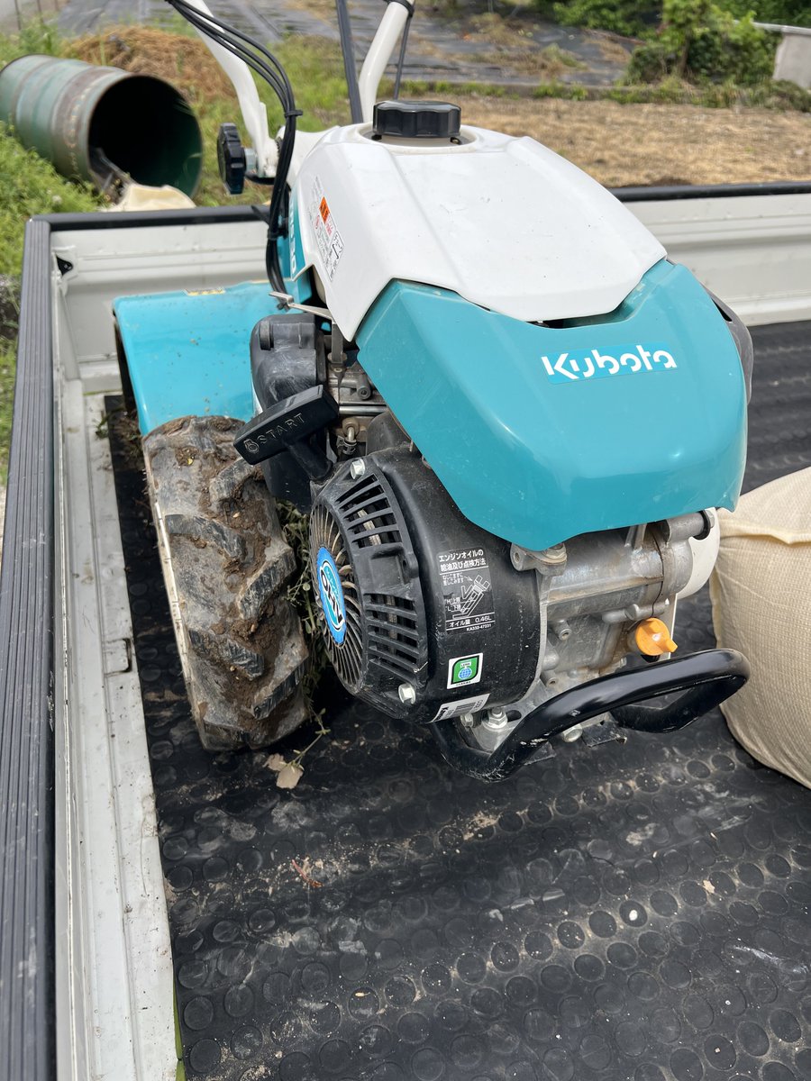 パーシー🐟水陸両用子育てブロガー tweet media