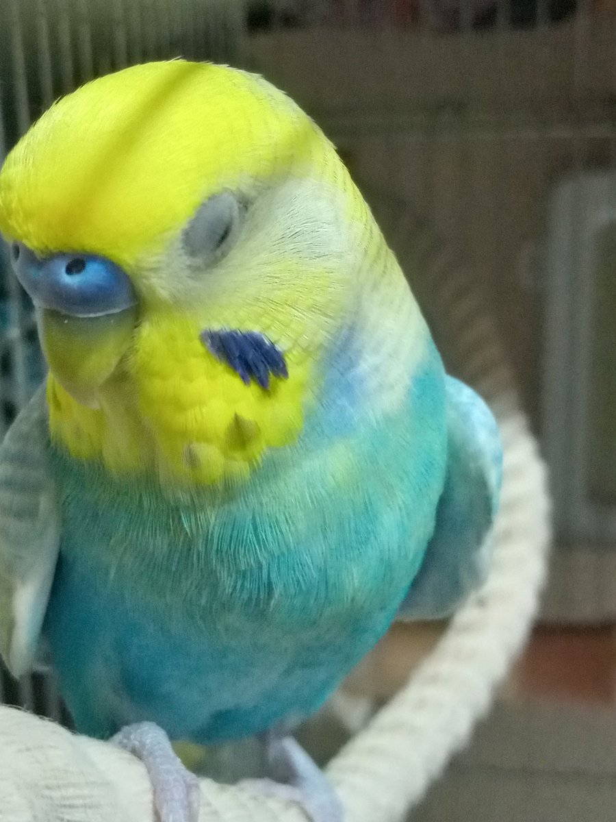 tomotori24 tweet media