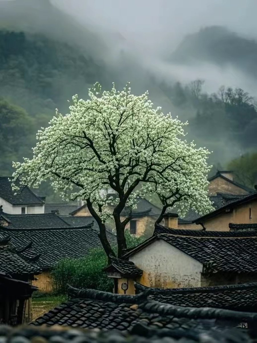 ExploreChinaScenic tweet media