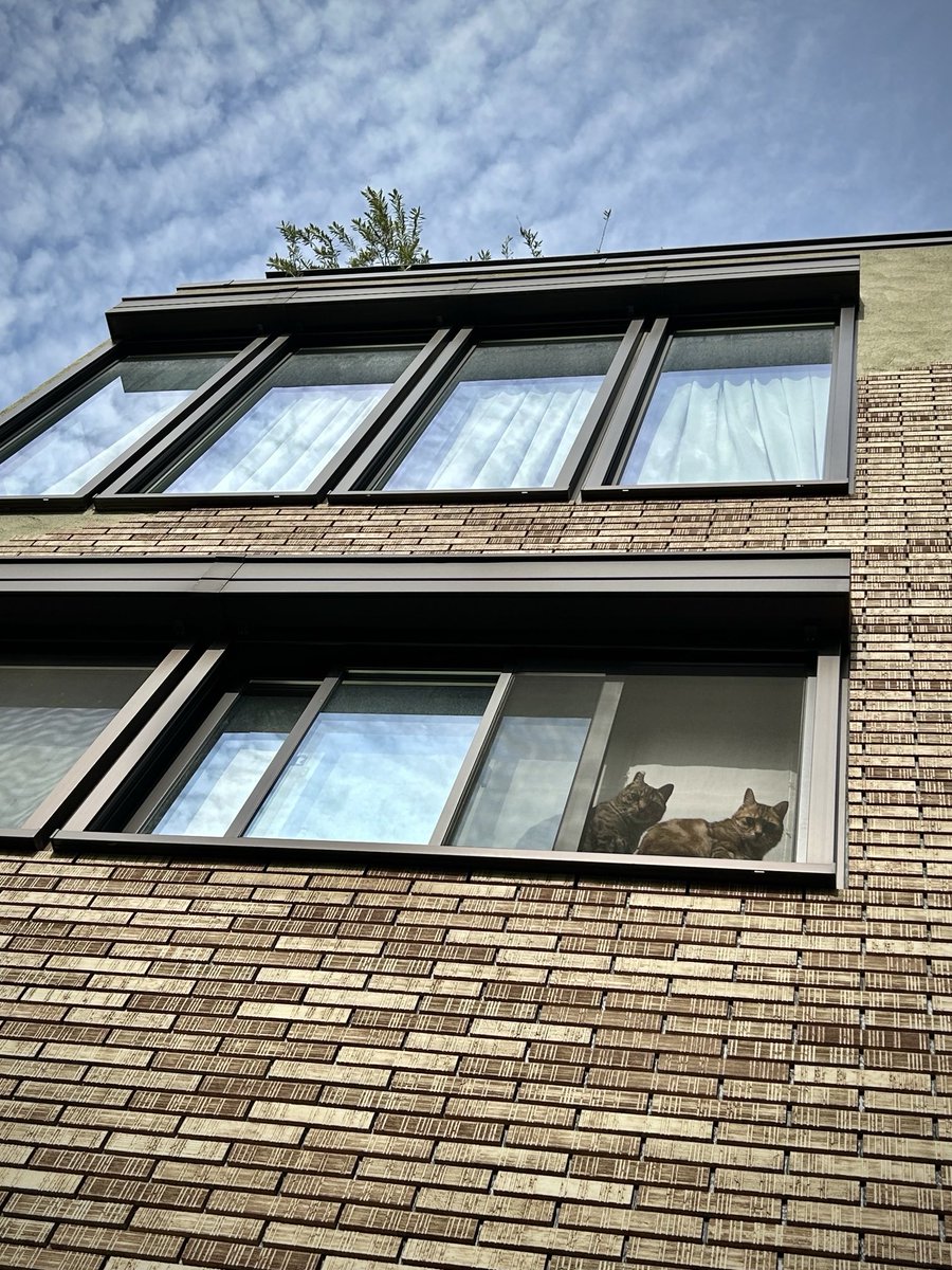 岩合光昭 tweet media